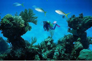 肯·莱文回顾《网络奇兵2》最终关卡的创作经历